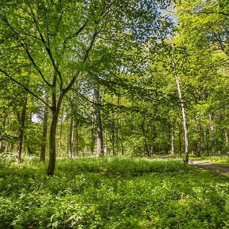 Villa Calmeyn De Panne Bagian luar foto